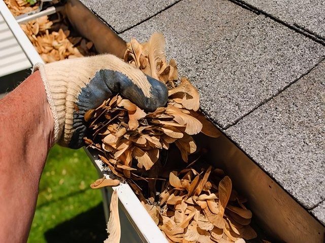 sunrise-exterior-cleaning (38)-kireth-ai